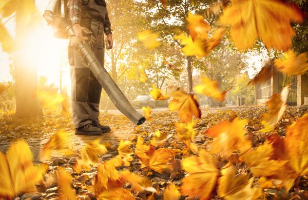 Leaf Blowing Service in Norwalk