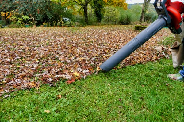 Leaf Vacuuming Service in Norwalk