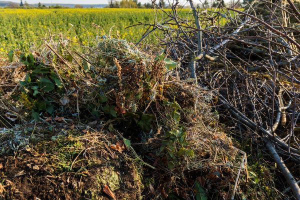 Brush Disposal in Norwalk