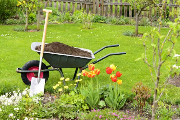 Cost of Spring Yard Cleanup in Norwalk