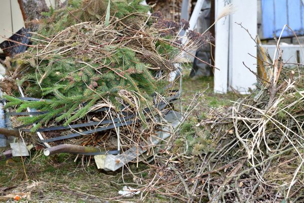 Yard Waste Removal Service in Norwalk