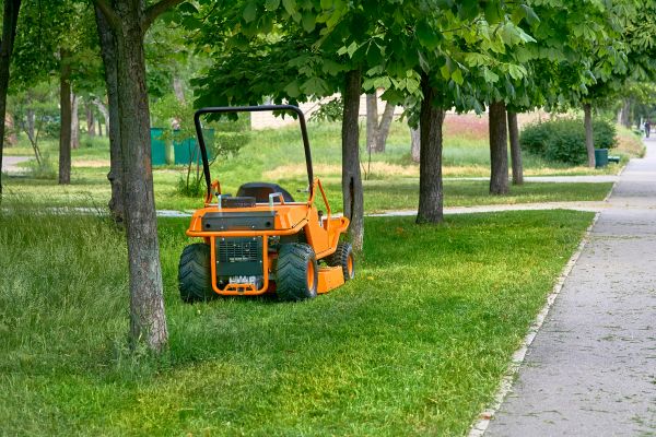 Landscaping Cleanup Service in Norwalk