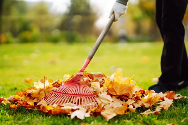 Cost of Ditch Leaf Removal in Norwalk