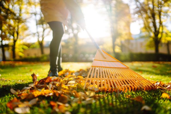 Leaves Raking in Norwalk