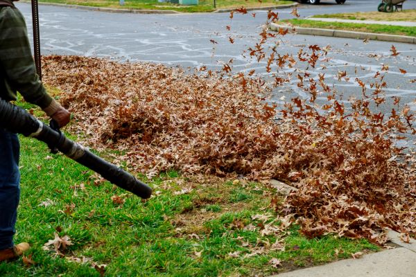 Cost of Garden Leaf Removal in Norwalk