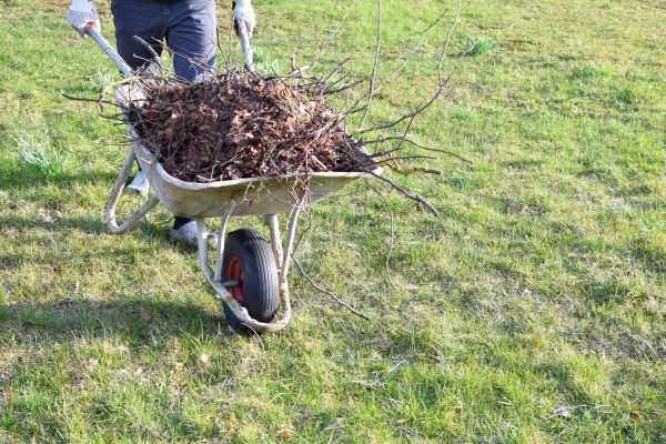 Yard Brush Removal in Norwalk