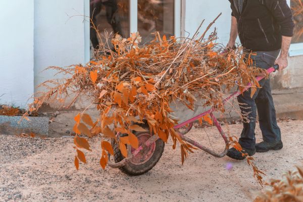 Lawn Debris Cleanup in Norwalk