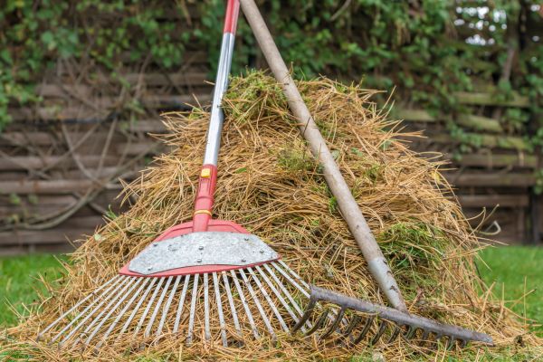 Cost of Pine Straw Clearing in Norwalk
