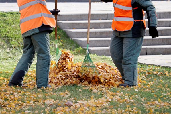 Cost of Leaf Hauling Service in Norwalk