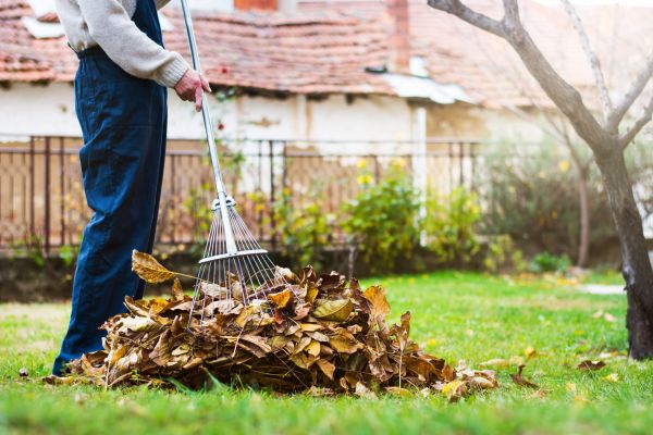 Spring Lawn Cleanup in Norwalk