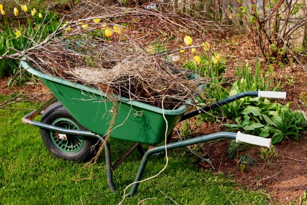 Lawn Waste Removal in Norwalk
