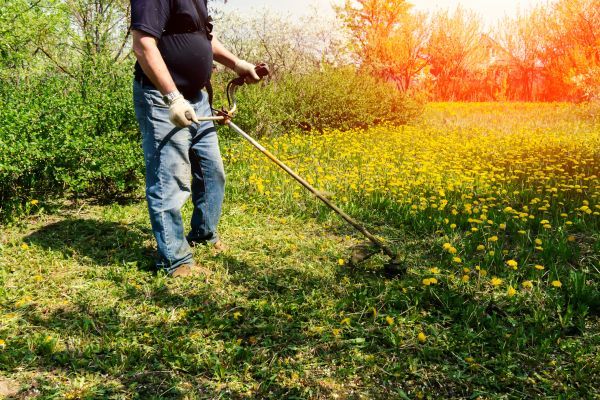 Cost of Yard Clearing Service in Norwalk