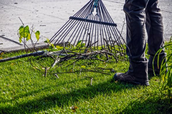 Yard Debris Cleanup in Norwalk