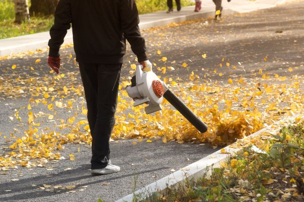 Commercial Leaf Removal in Norwalk